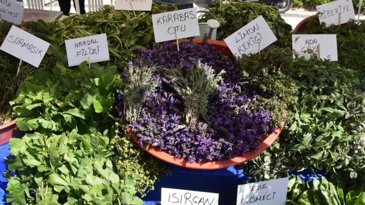 Alaçatı Ot Festivali 2026 tarihleri belli oldu